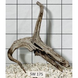 Stump wood 175