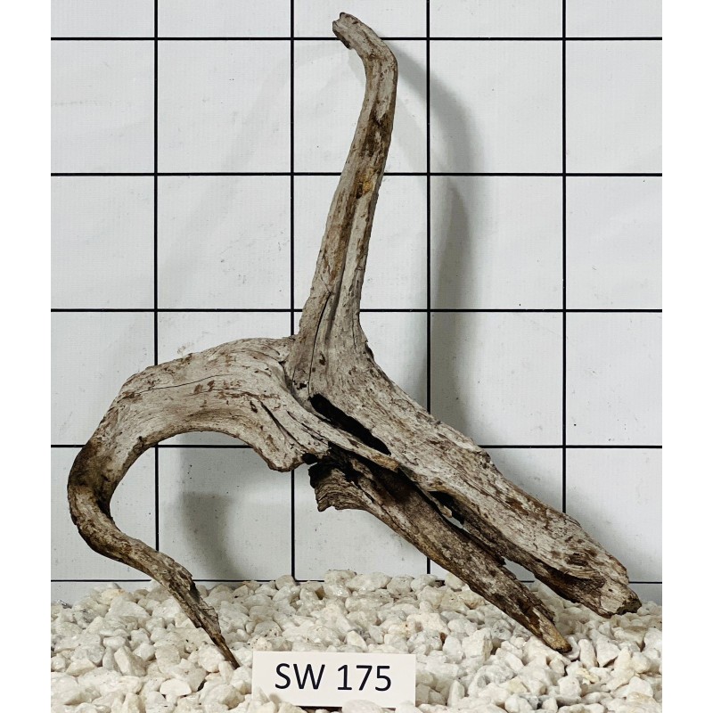 Stump wood 175