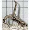 Stump wood 175
