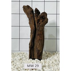 Mangrovewood 29