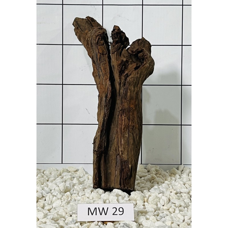Mangrovewood 29