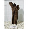 Mangrovewood 29