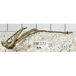 Stump wood 177