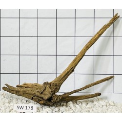 Stump wood 178