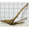 Stump wood 178