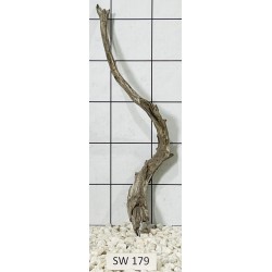 Stump wood 179