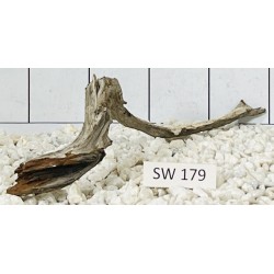 Stump wood 179