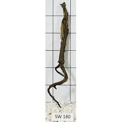 Stump wood 180