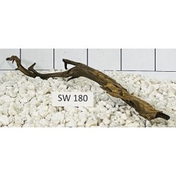 Stump wood 180