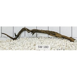 Stump wood 180