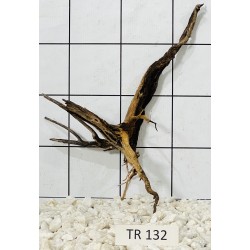 Spiderwood 132
