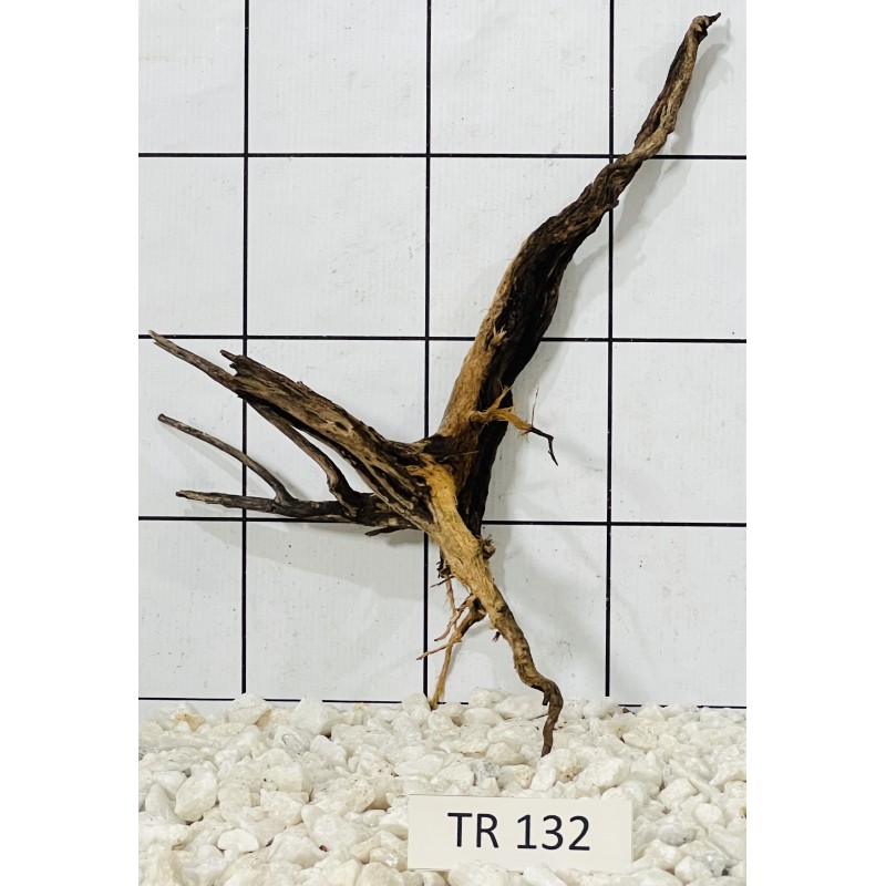 Spiderwood 132