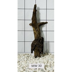 Mangrovewood 30