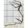 Spiderwood 133