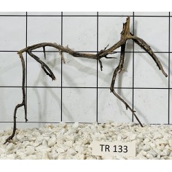 Spiderwood 133