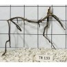Spiderwood 133