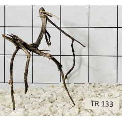 Spiderwood 133