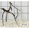 Spiderwood 133