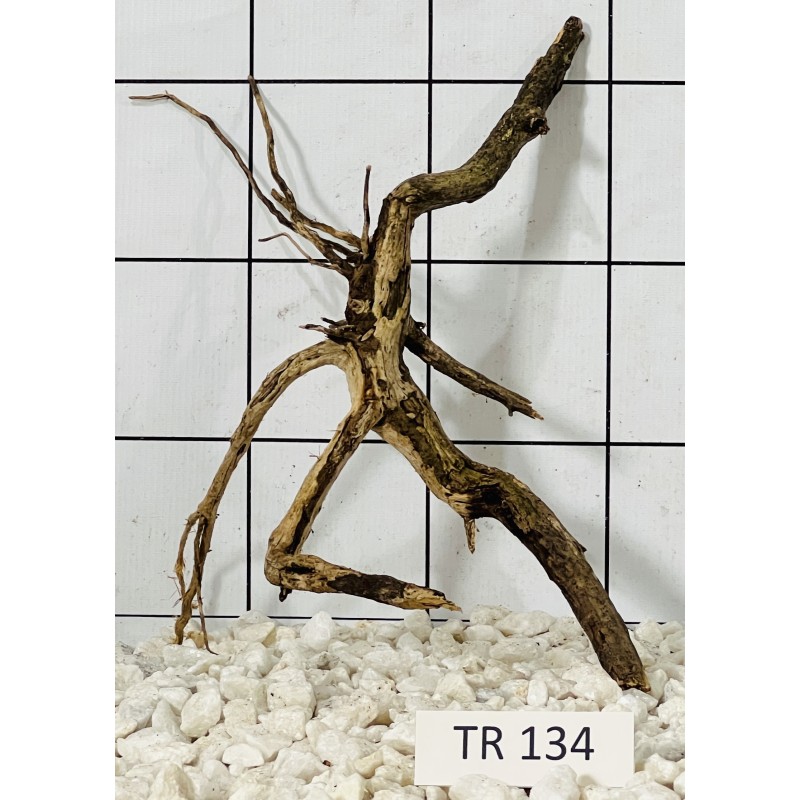 Spiderwood 134