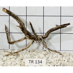 Spiderwood 134