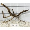 Spiderwood 134