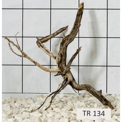 Spiderwood 134