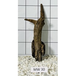 Mangrovewood 30