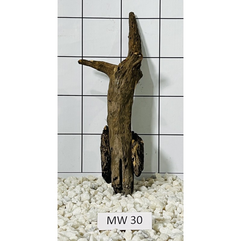 Mangrovewood 30