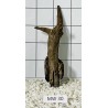 Mangrovewood 30