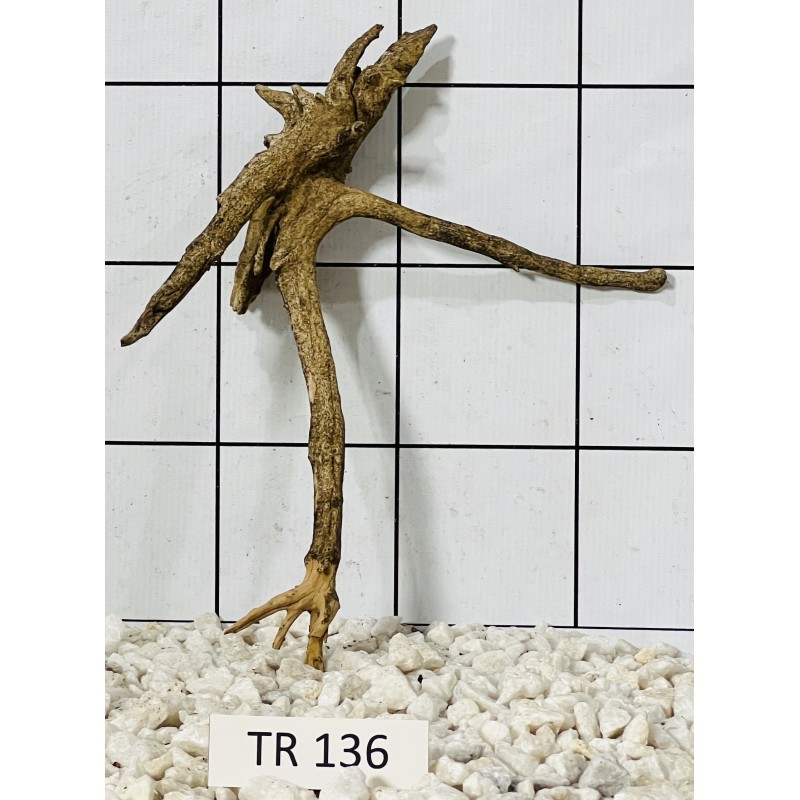Spiderwood 136