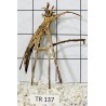 Spiderwood 137