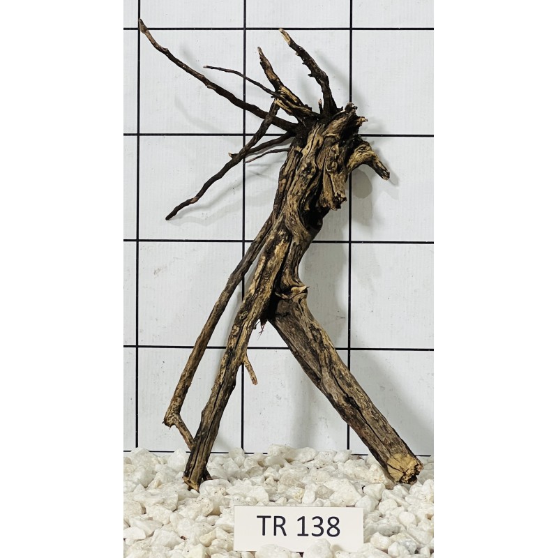 Spiderwood 138