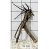 Spiderwood 138