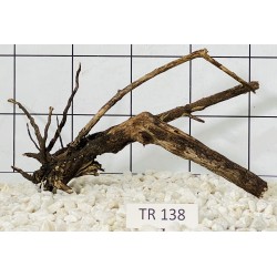 Spiderwood 138