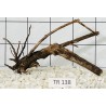 Spiderwood 138