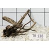 Spiderwood 138