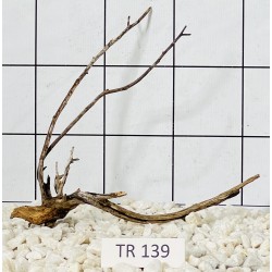Spiderwood 139
