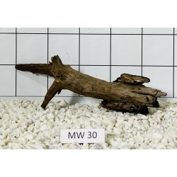 Mangrovewood 30
