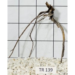 Spiderwood 139