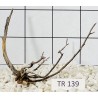 Spiderwood 139