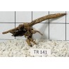 Spiderwood 141