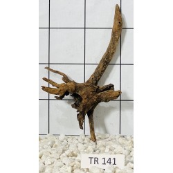 Spiderwood 141