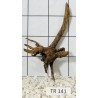 Spiderwood 141