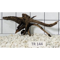 Spiderwood 144
