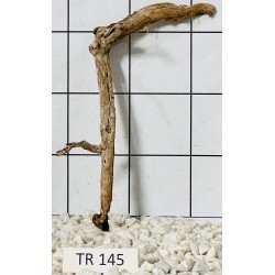 Spiderwood 145