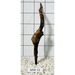 Mangrovewood 31