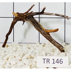 Spiderwood 146