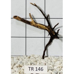 Spiderwood 146