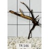 Spiderwood 146