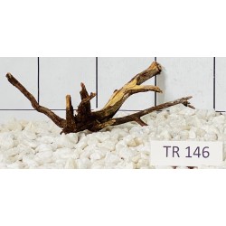 Spiderwood 146